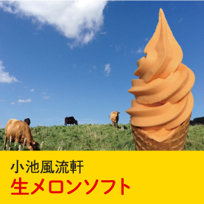 小池屋流軒 生メロンソフト