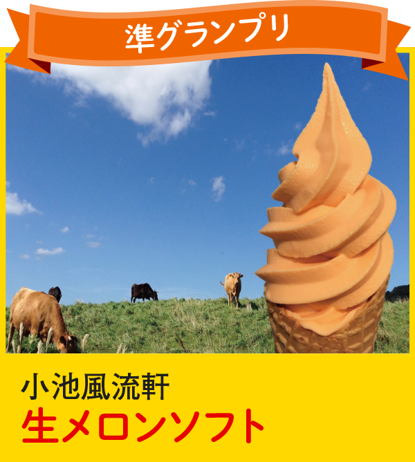 2016年度 準グランプリ 小池屋流軒 生メロンソフト